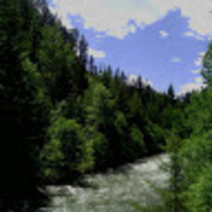 Meet your Posher, Jacqueline